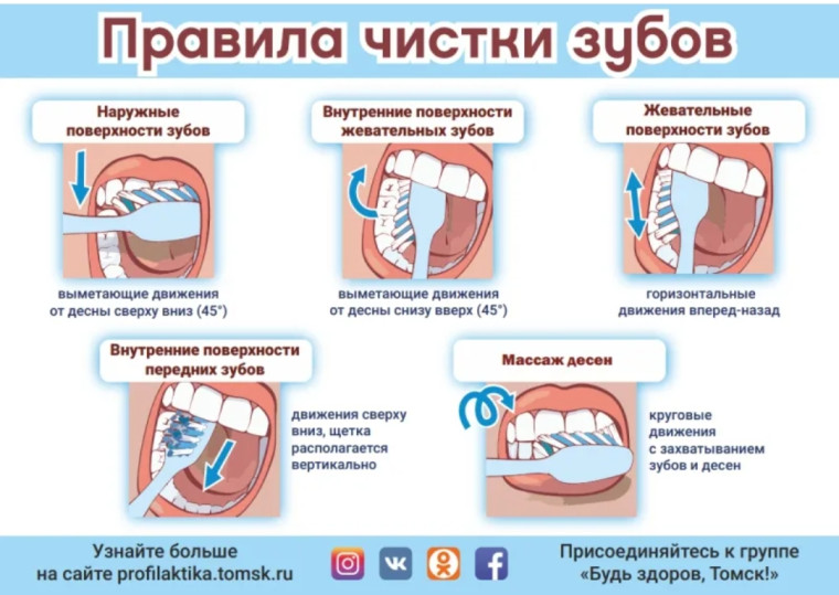 День рождения зубной щётки.