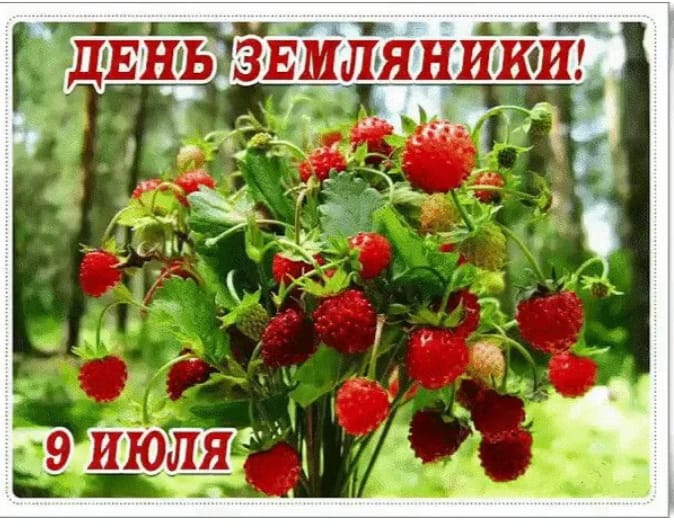 День земляники.